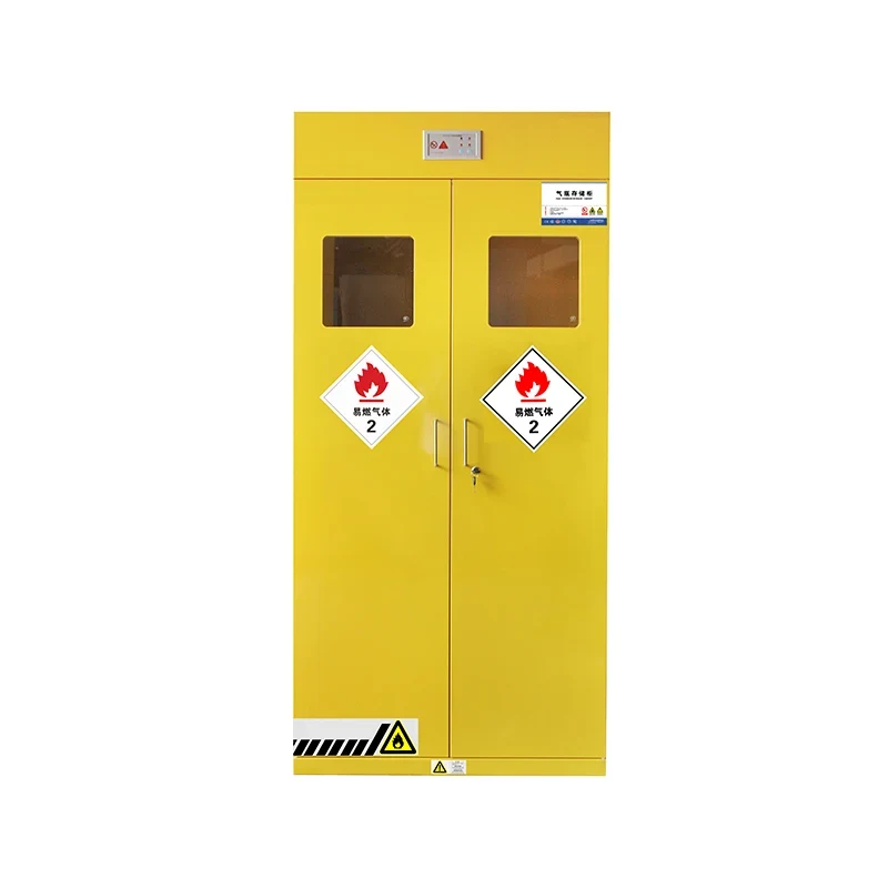 Double-bottle Explosion Proof Gas Cylinder Storage Cabinet